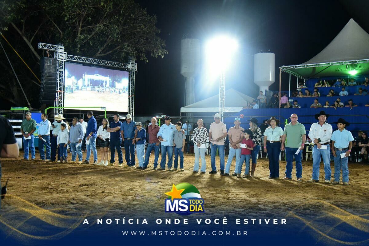 Imagem da Galeria